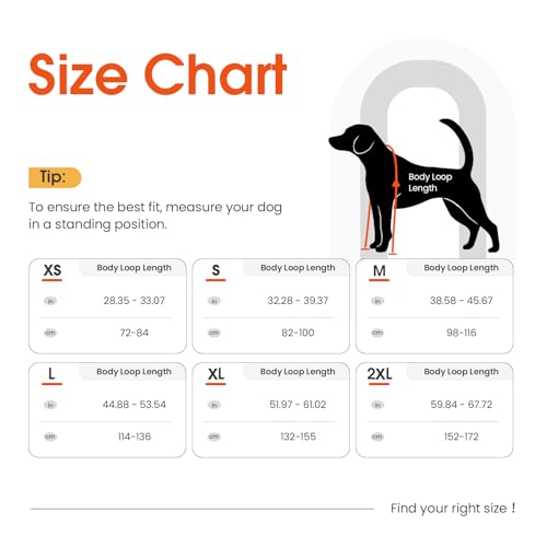Waterproof Dog Suspender Boots Non (Black / S)