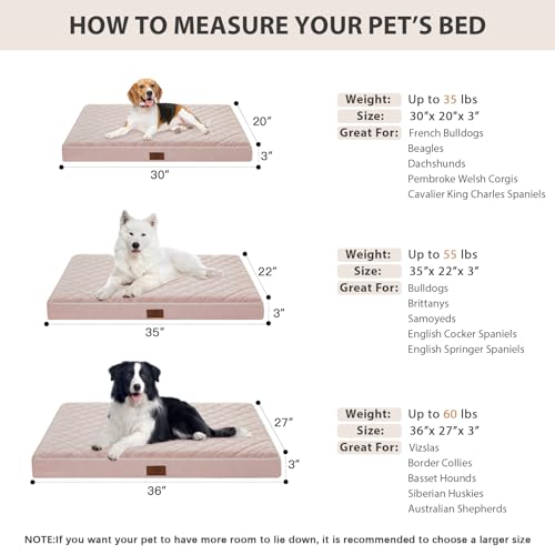 Orthopedic Waterproof Large Sized Senior Dogs Bed for Comfy Sleep (Pink / 36"L x 27"W x 3"Th)