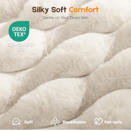 Orthopedic Dog Bed for XL Dog (Cream / 41"x27"x4")