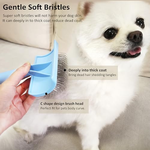 Slicker Brush for Poodles (blue)