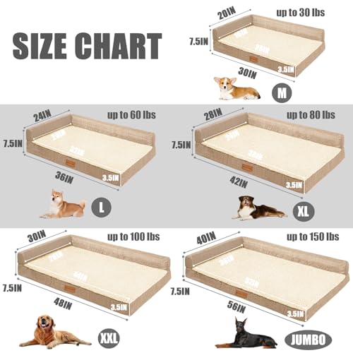 Orthopedic Medium Dog Bed Washable Pet Sofa Bed 30''X20''Beige (Beige / 30"L x 20"W x 3.5"Th)