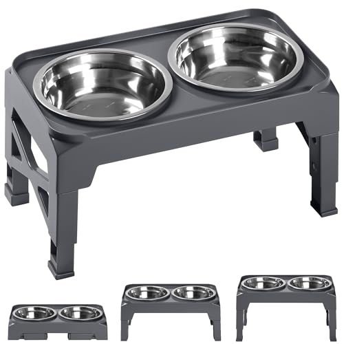 Elevated Dog Bowls with 2 Stainless Steel Dog Food & Water Raised Bowls with No Spill Edge Non (S (6" for Small Dogs) / Grey)