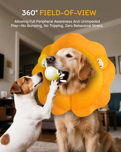 Inflatable Dog Cone (Lion / M+(14"-18"))