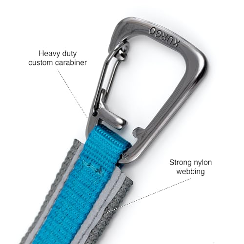 Quantum 6 in 1 Dog Leash (Blue)