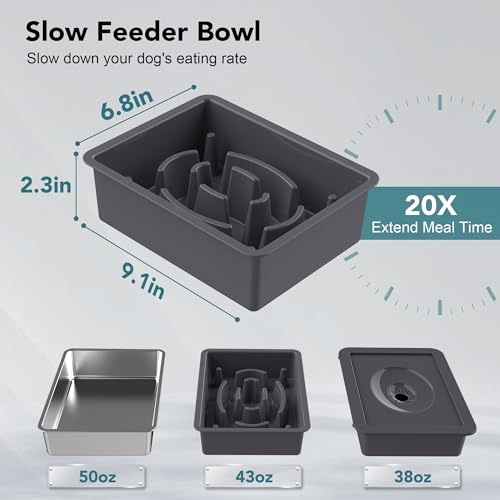 3-in-1 Elevated Dog Bowls Set with 4 Height Adjustable Stand, Gray (D-3 in 1 (Grey))