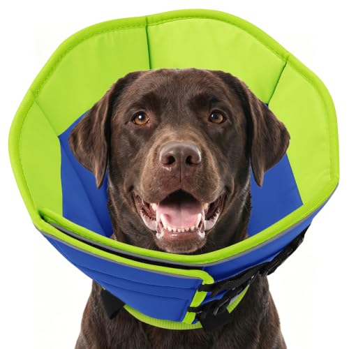 Large Dog Cone Collar (BlueGreen / X-Large)