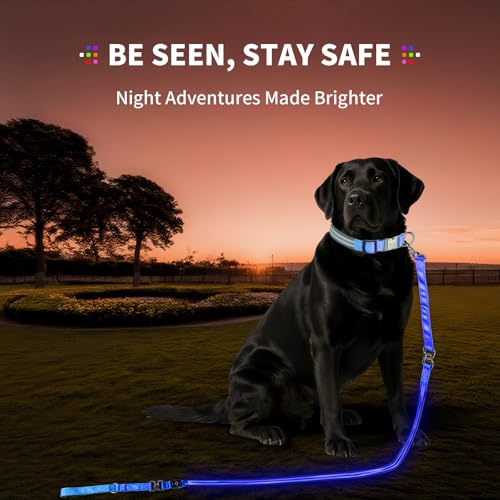 LED Dog Leash (Blue / 6 feet)