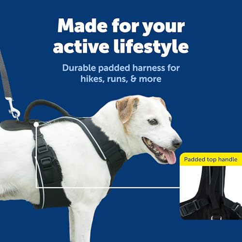 EasySport Dog Harness (Small / Black)