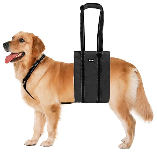 Dog Lift Harness for Senior (Black / L)