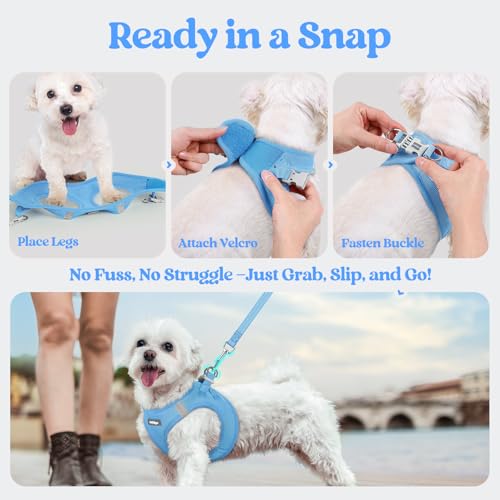 Dog Harness Small Sized and Leash Set (Blue / Xxxs (chest: 10.8 - 11.8"))