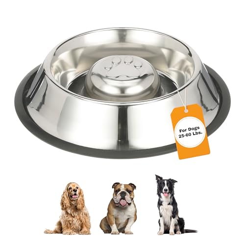 Stainless Steel Slow Feed Bowl (3 Cup - Non Tip)