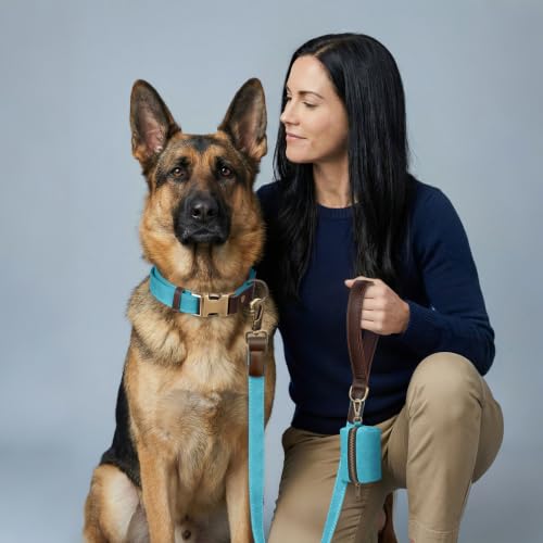 PU Leather Dog Leash for Large Dogs (Light Blue / 1"x 6FT)