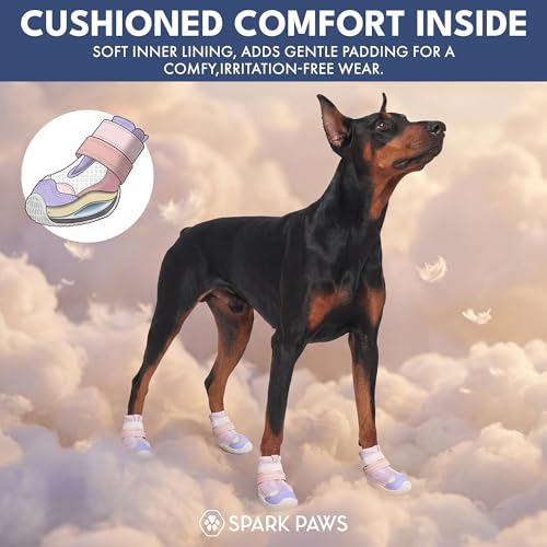 365 Dog Shoes (Pink Purple / Size 2: 1.8"x2.17"(W*L) (Pack of 4))