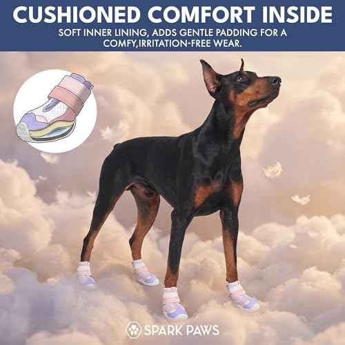 365 Dog Shoes (Pink Purple / Size 5: 2.4"x2.76"(W*L) (Pack of 4))