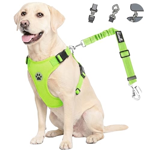 Dog Car Harness Seat Belt (Small / ·Lime Green)
