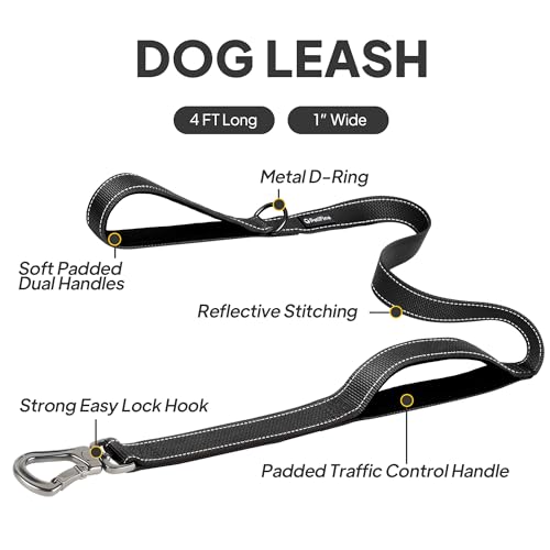 4FT Heavy Duty Dog Leash with Soft Padded Double Handle (4 FT x 1 in Wide / Black)