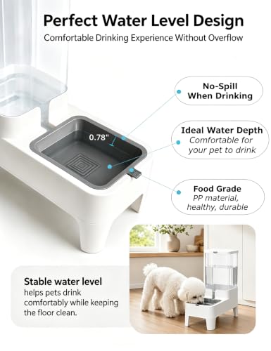 Automatic Pet Water Dispenser Bowl 4L for Cats and Small Dogs