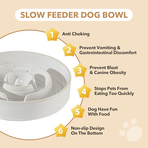 Raised Slow Feeder Dog Bowls (2 x White + Stand - A / M- 7.3inch / 1.2 Cups)