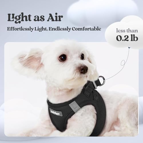 Dog Harness Medium Sized and Leash Set (Black / Xl (chest: 20 - 21.8"))