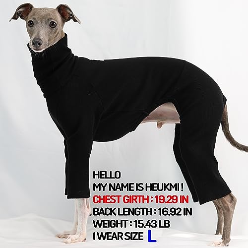 D Doggy Star Italian Greyhound Clothes Stretchable Onesie Whippet for Dog (M / Ribbed Black)