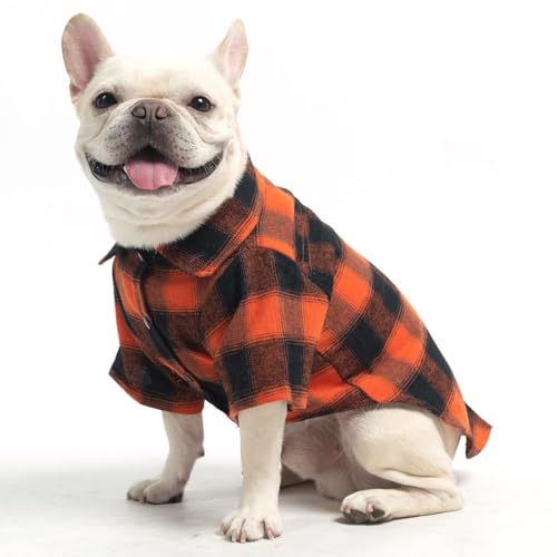 Fall Dog Shirt (Medium / Orange)