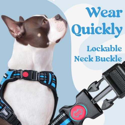 Dog Harness Medium Sized (Medium / Sky Blue)