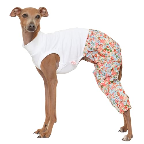 D Doggy Star Italian Greyhound Clothes Mombbe Onesie Outfit Whippet for Dog Coat (XL / Mombbe Orange)