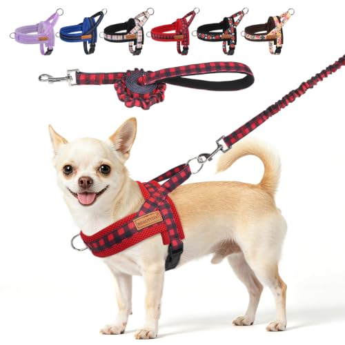 Small Dog Harness and Leash Set (Buffalo Red / XS: Chest 15"-18")