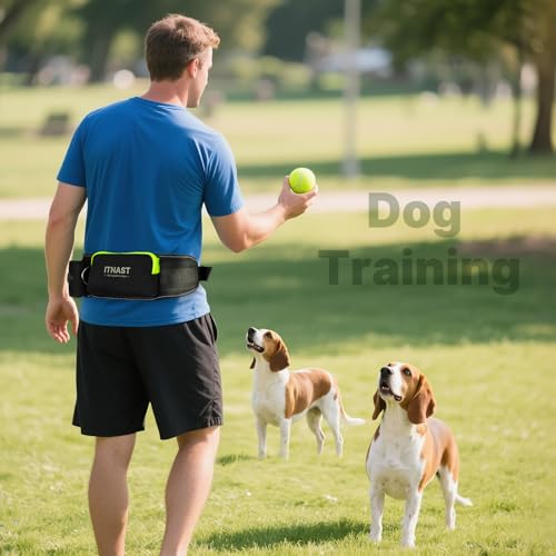 Hands Free Dog Leash for 2 Dogs (for Two Dogs / Black/Green)