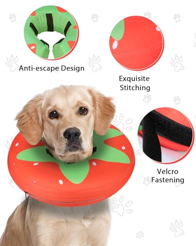 Inflatable Dog Cone (Tomato / XL(21"-24"))