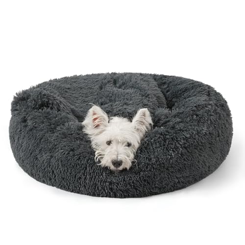 Calming Donut Dog Bed (Dark grey / Large 31.5''x31.5''x9'')