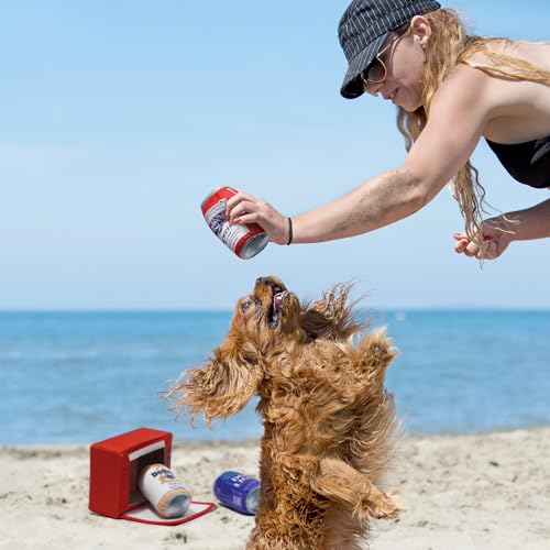Squeaky Beer Dog Toys with a Fridge (Beer)