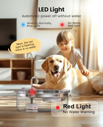 Replacement Pump for PWF