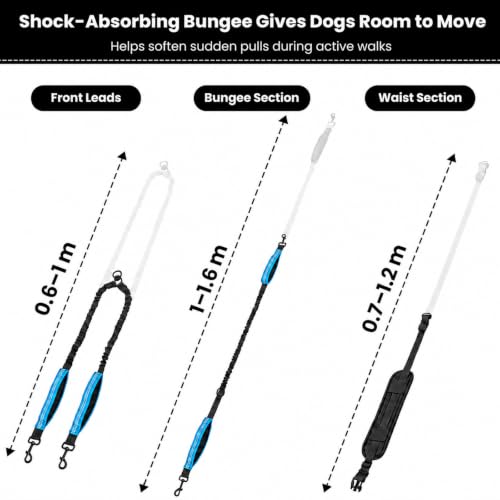 Hands Free Double Dog Leash (Black)