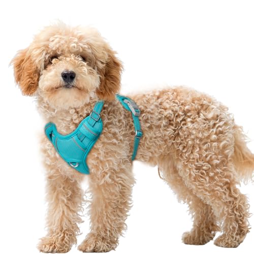 Dog Harness for Small Sized Dog No Pull Dog Vest ID Tag Pocket (Ocean Blue / X-Small)