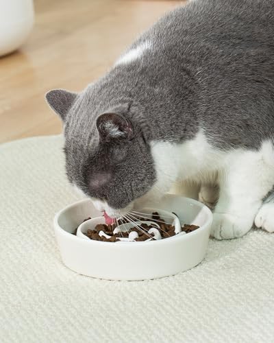 Ceramic Slow Feeder Dog Bowls Small Breed (S-0.6 Cups / 01-White)