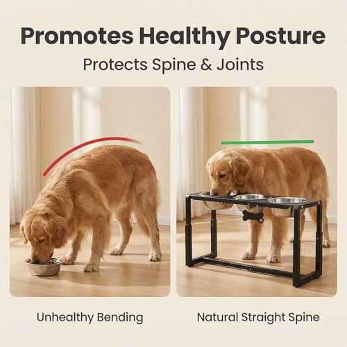 Metal Elevated Dog Bowls (8.8-14" | M/L Dogs | 3×58oz Bowls)