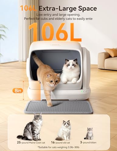 Self Cleaning Cat Litter Box