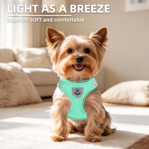 Dog Harness Collar and Leash Set No Pull for Small Medium Sized (Solid Green / L (CHEST 18"-20"))