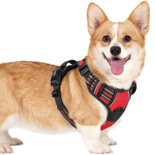 Dog Harness Small Sized (Small / Red)