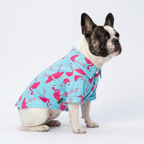 Flamingo Hawaiian Dog Shirt (XX-Large / Flamingo)
