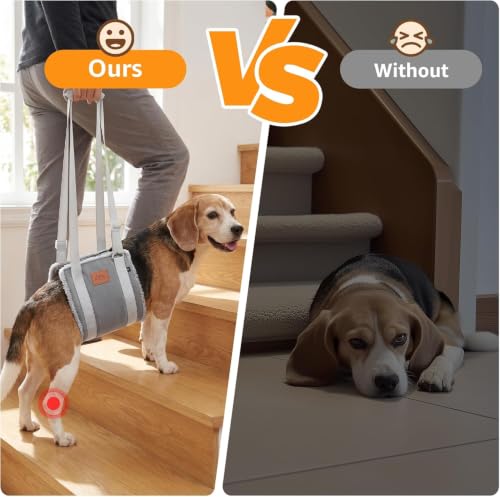 Adjustable Dog Sling for Medium Dogs Soft Post (Grey & Grey / Medium)