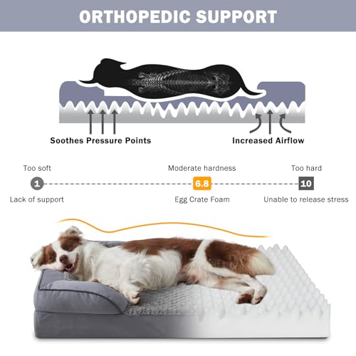 Orthopedic Dog Beds Large Sized (XL (42"x 32"x 7") / Dark Grey)