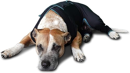 Therapeutic Comfort Suit for Dogs (Small)