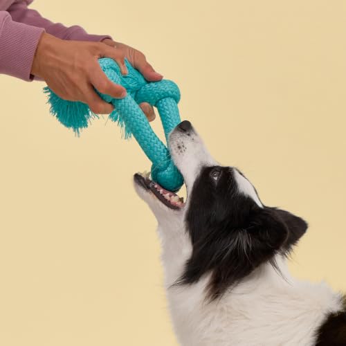 Tug Rope Dog Toys for Large Dogs (Jumbo / Peanut Butter)