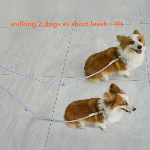 Multifunctional 8.5 ft Nylon Rope Hands Free Dog Leash for Running Small Medium Large Dogs (Blue / 8.5FT x 10MM)