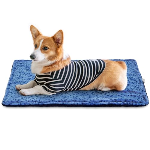 Self Warming Cat Bed (27 x 22 Inch / Blue)