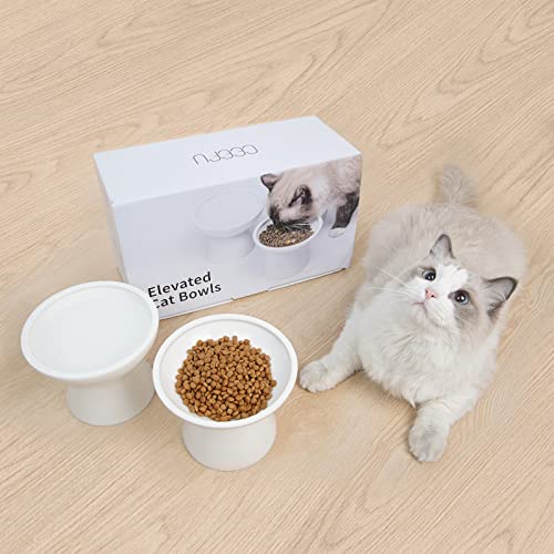 2 Pack Elevated Ceramic Cat Bowls Extra Wide for Food & Water (White)