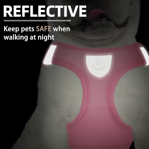 Dog Harness Collar and Leash Set No Pull for Small Medium Sized (Solid LightPink / S (CHEST 14.5"-16"))