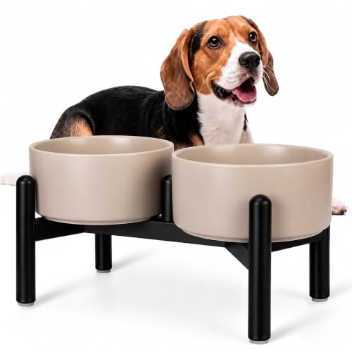 Raised Ceramic Dog Bowl Set with Stand (Light Gray / 2 Bowls - 3.5 Cups Each)